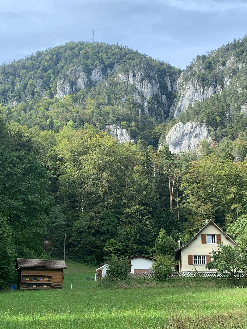 A small village house with an apiary in front of a forested sheer mountain face